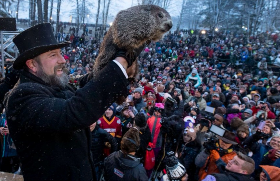 Punxsutawney Phil