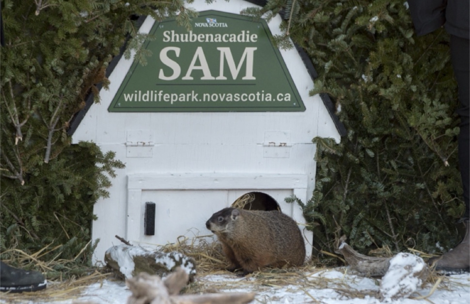 Shubenacadie Sam, Nova Scotia