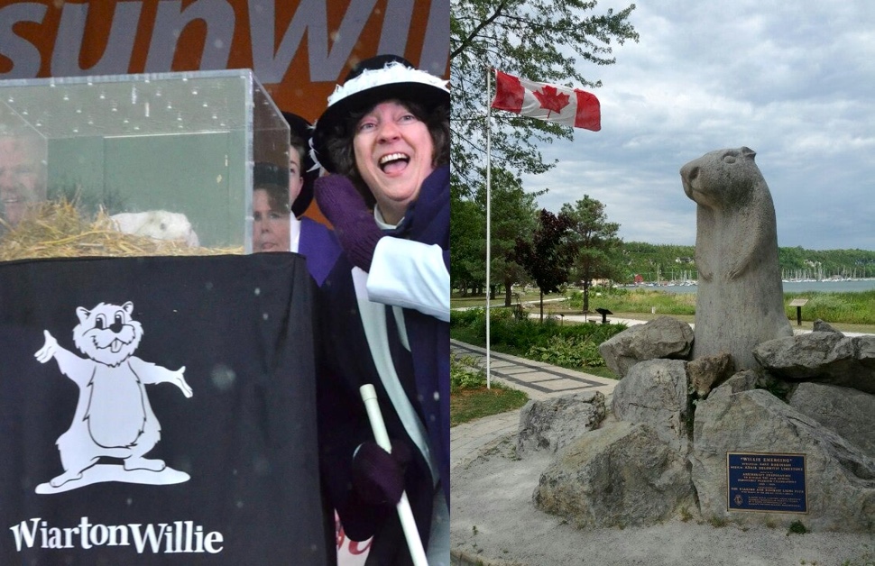 Wiarton Willie (L) and ‘Willie Emerging’ statue (R) in Ontario, Canada