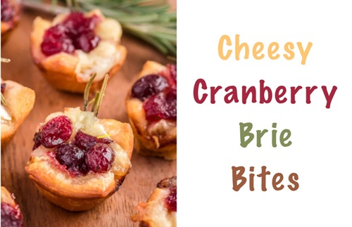 Cheesy Cranberry Brie Bites